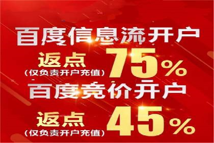 深度解析：百度竞价广告的投放效果与ROI